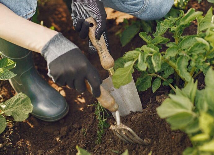 Porządkowanie ogrodu
