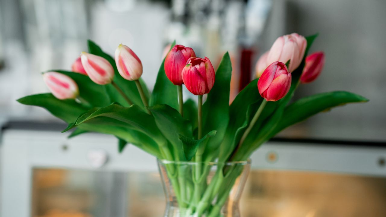 Świeże tulipany w wazonie