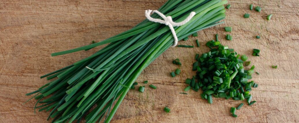 Pęczek szczypiorku. Jak przechowywać szczypiorek, aby zachować jego świeżość?