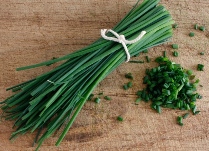 Pęczek szczypiorku. Jak przechowywać szczypiorek, aby zachować jego świeżość?
