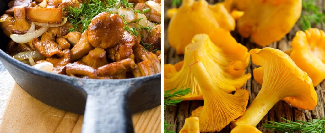 Kurki, znane również jako pieprznik jadalny, to cenione grzyby jadalne, które doskonale komponują się z różnymi rodzajami mięs oraz ryb / Fot. Canva.com