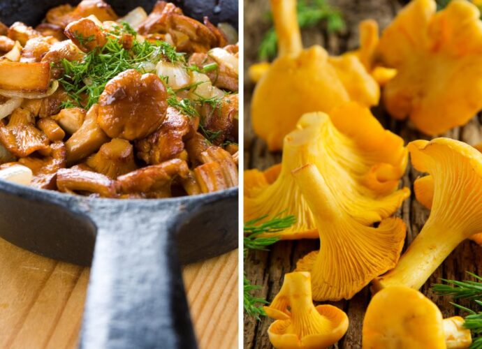 Kurki, znane również jako pieprznik jadalny, to cenione grzyby jadalne, które doskonale komponują się z różnymi rodzajami mięs oraz ryb / Fot. Canva.com