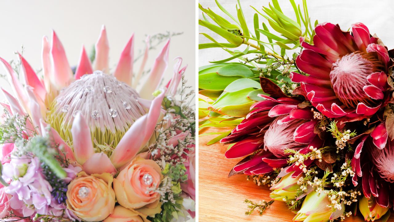 Wiązanki florystyczne z dodatkiem protei królewskiej