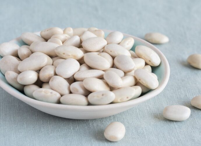 Wysuszone ziarna białej fasoli Piękny Jaś, tak zwanego Jaśka