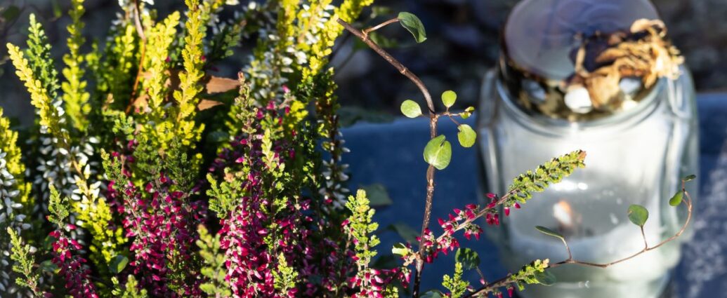 Dekoracja z naturalnych wrzosów na nagrobku