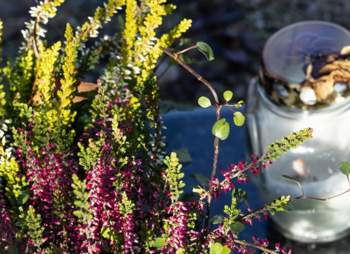 Dekoracja z naturalnych wrzosów na nagrobku