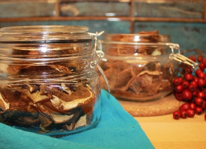 Suszone grzyby w słoiczkach