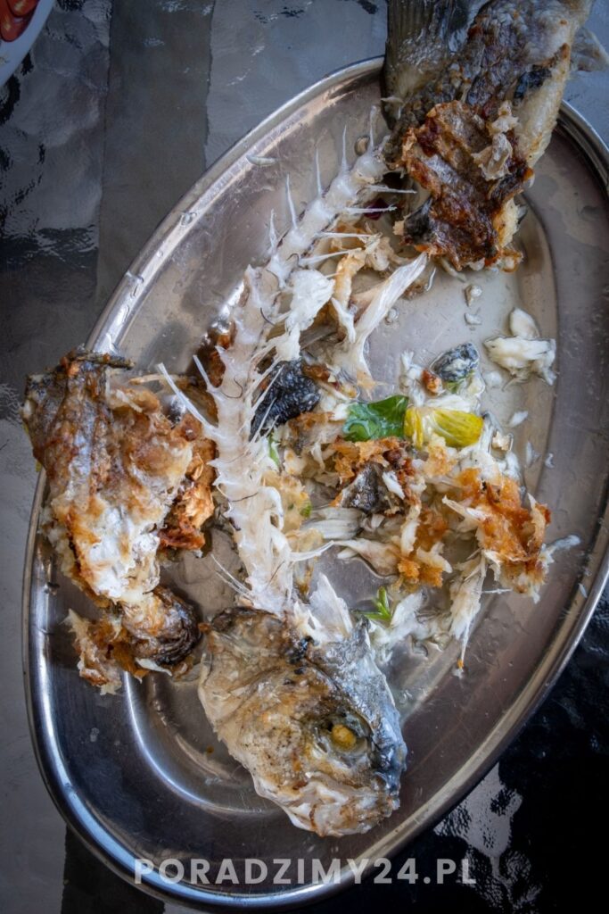 Gdzie wyrzucać ości i resztki ryb? Na pewno nie do kompostownika 