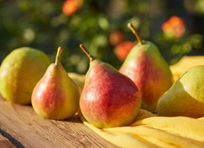 Jak przechowywać gruszki?