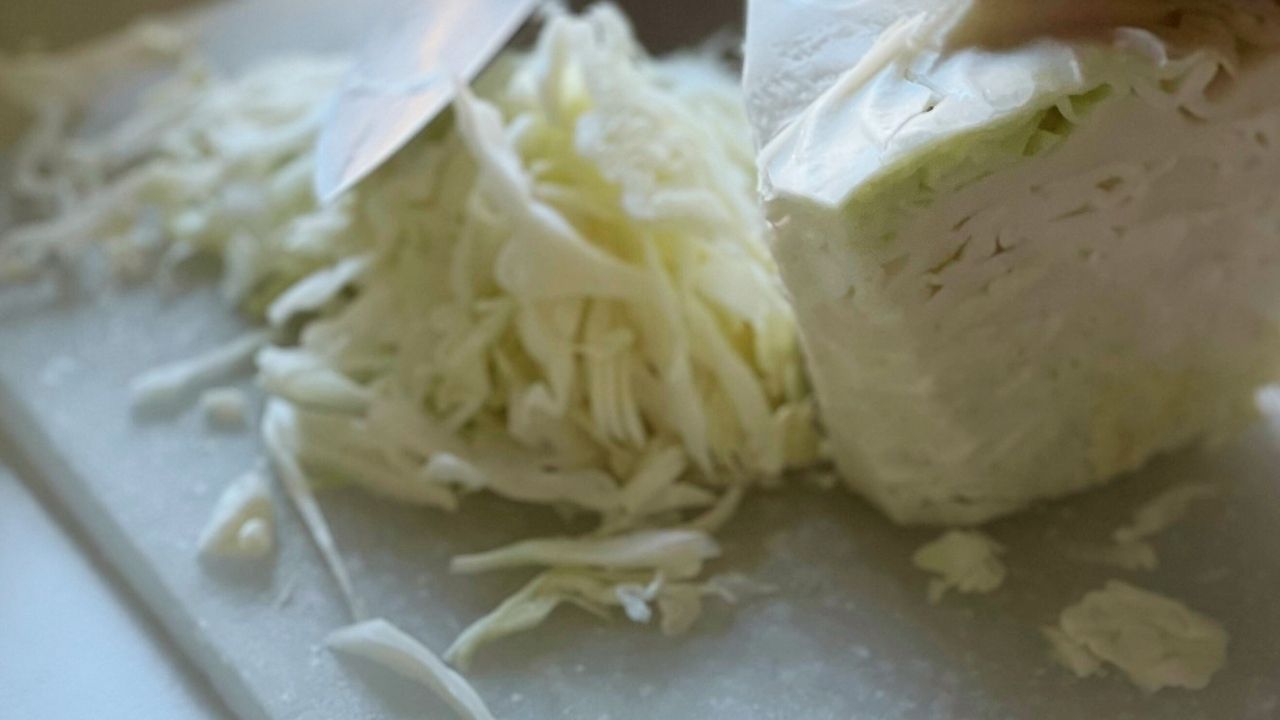 Krojenie białej kapusty