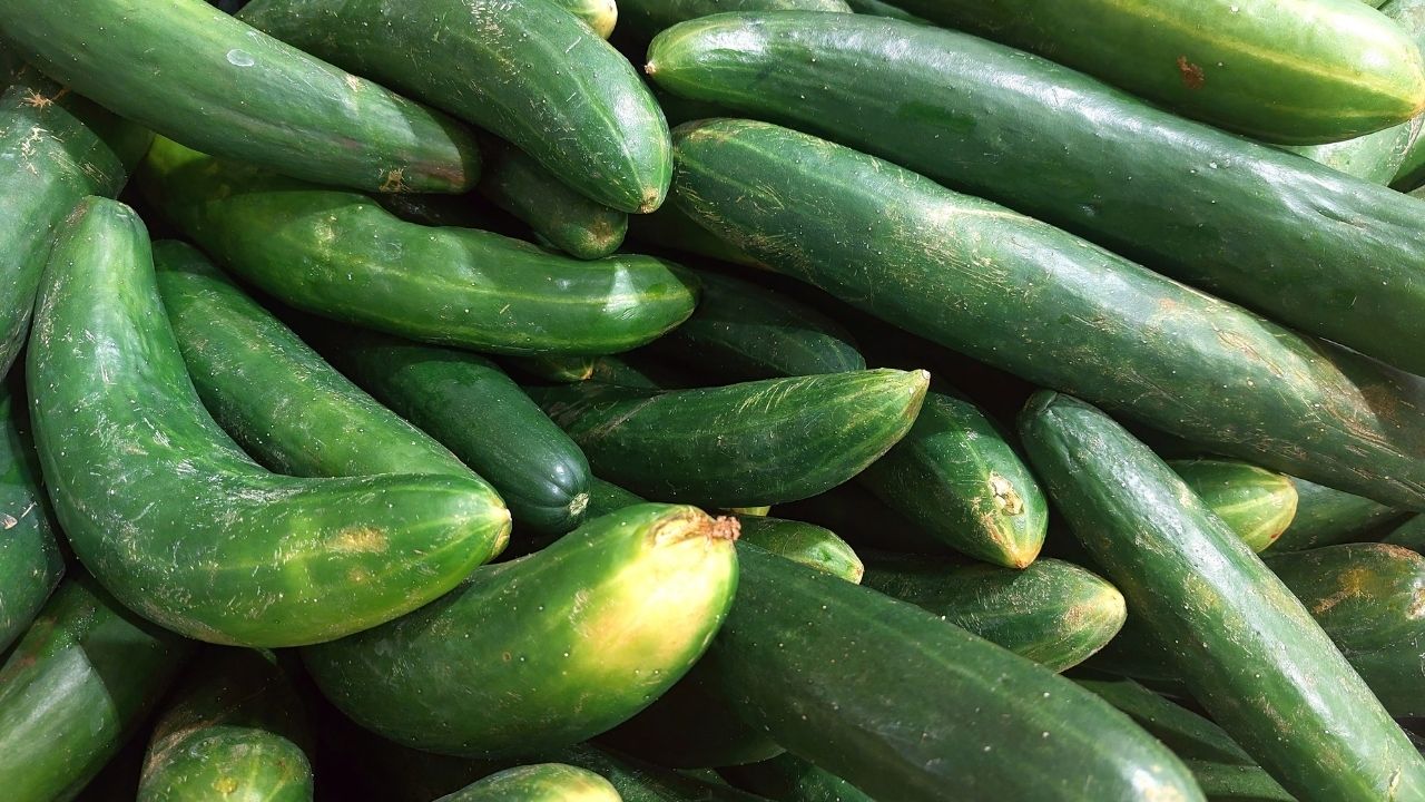 Ogórki wężowe