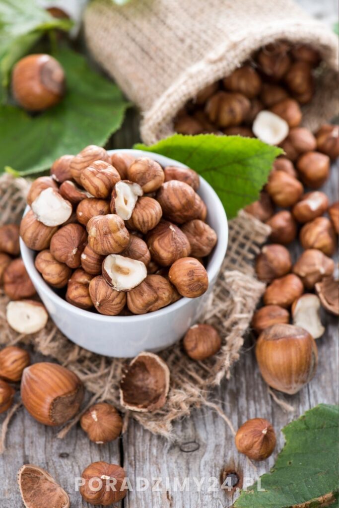 Orzechy laskowe - w łupinach oraz z brązową skórką, przed obraniem