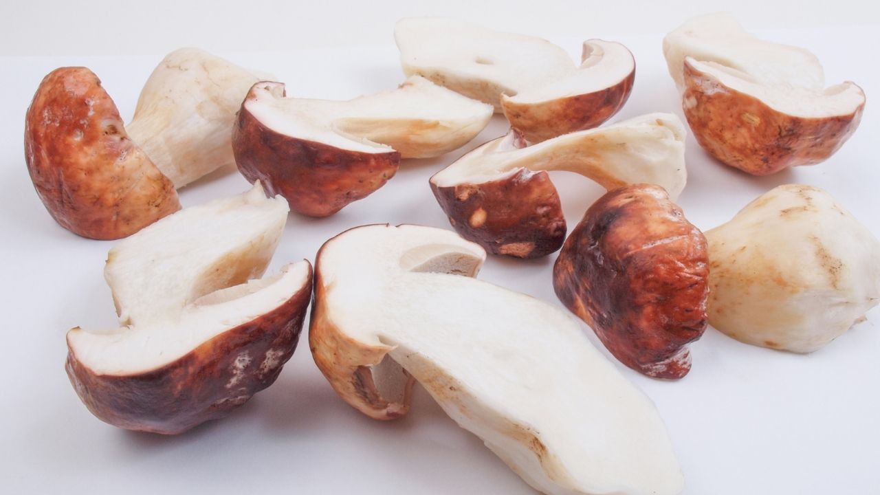 Oczyszczone i pokrojone prawdziwki, przygotowane do zamrożenia