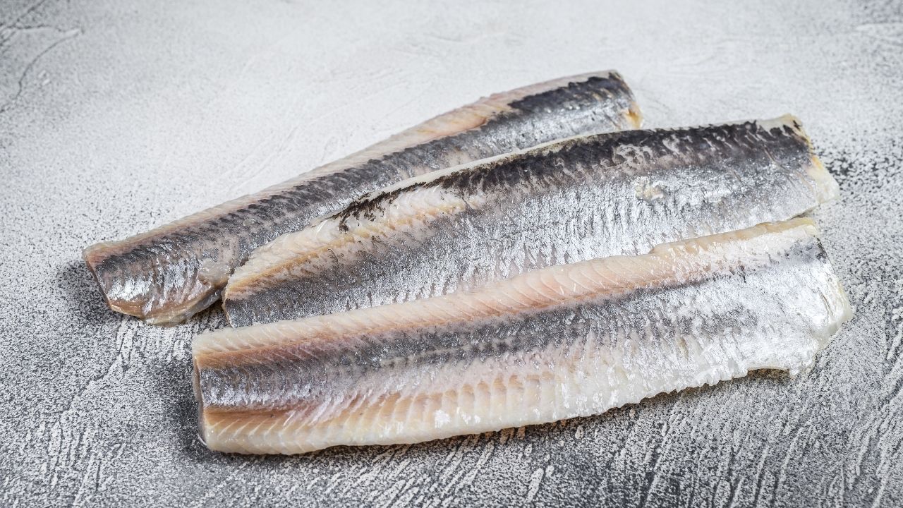 Solone filety śledziowe, tak zwane płaty