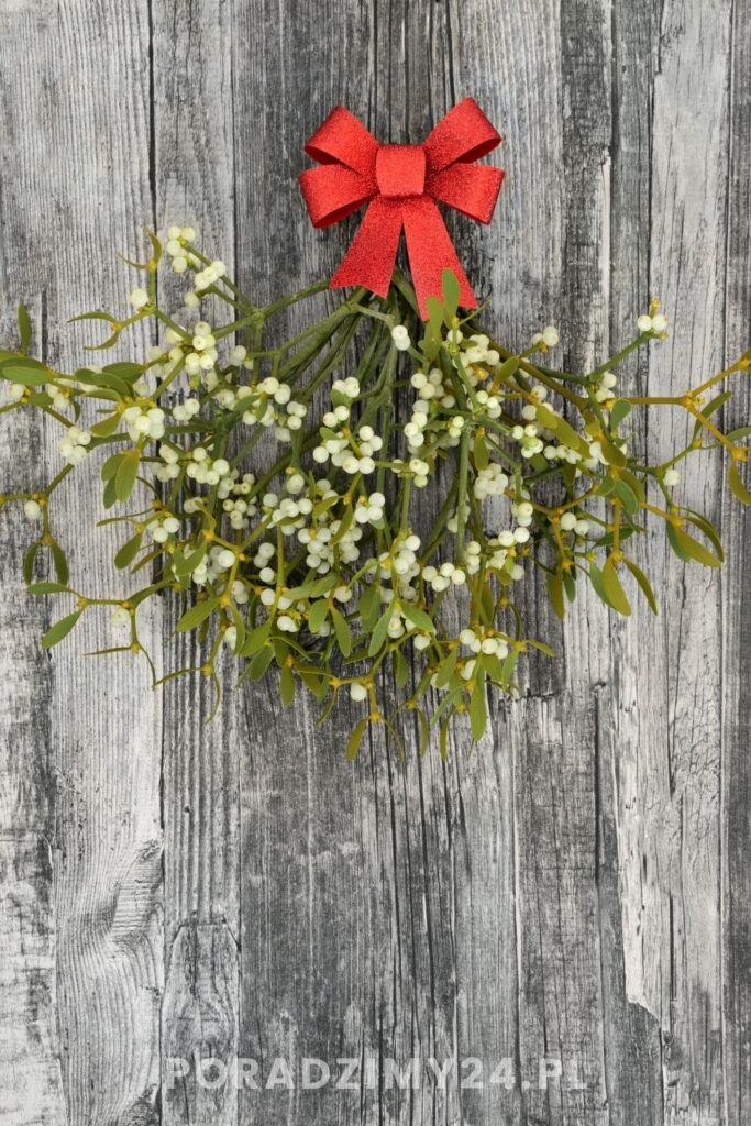 Jemioła - świąteczna dekoracja, która przynosi szczęście