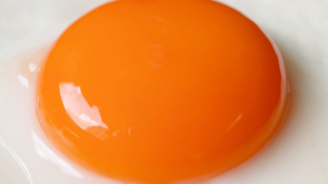 Żółtko jajka kurzego