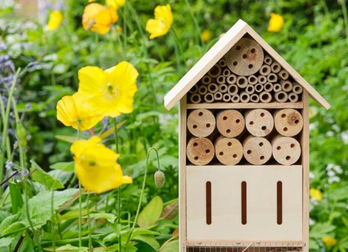 Domek dla owadów wśród kwitnących kwiatów