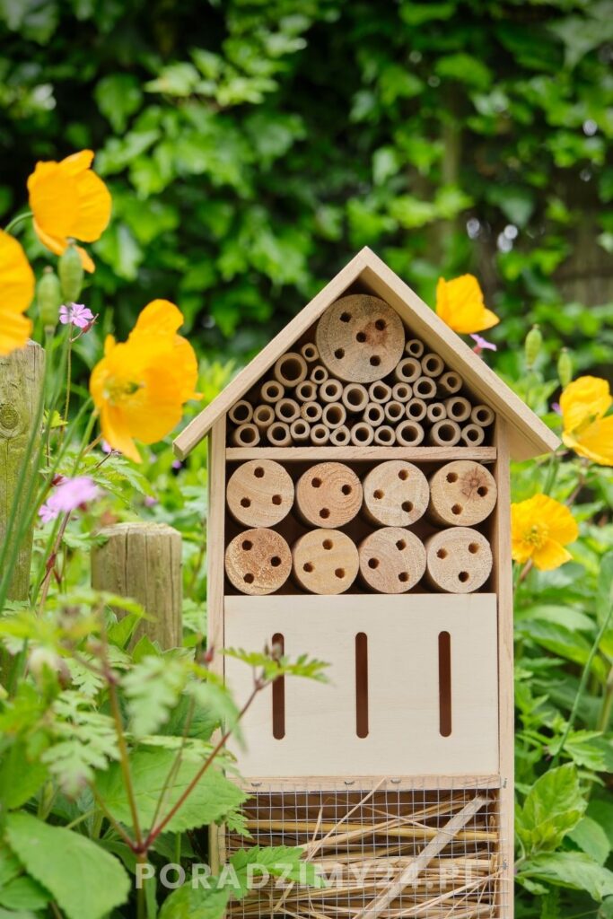 Domek dla owadów, nazywany także hotelikiem 