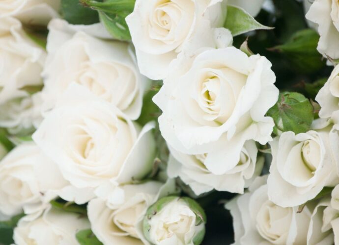 Co mówi o tobie bukiet z białych róż? Więcej niż myślisz