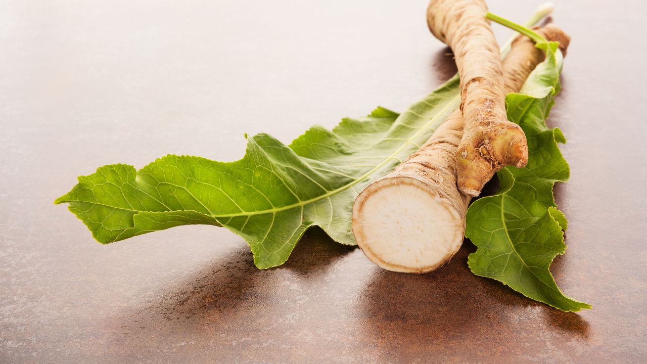 Korzeń i liście chrzanu
