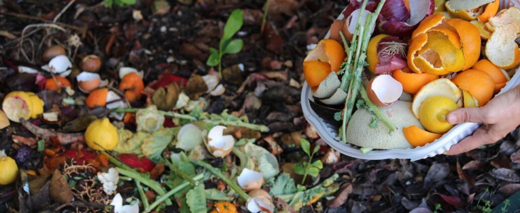 Wyrzucanie resztek organicznych, w tym skórek cytrusów, na kompost