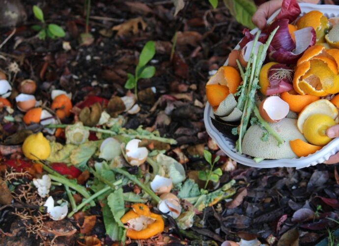 Wyrzucanie resztek organicznych, w tym skórek cytrusów, na kompost