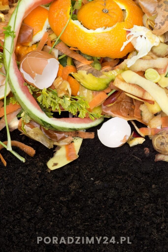 Kompostowanie skórek pomarańczy i cytryn - tak czy nie?
