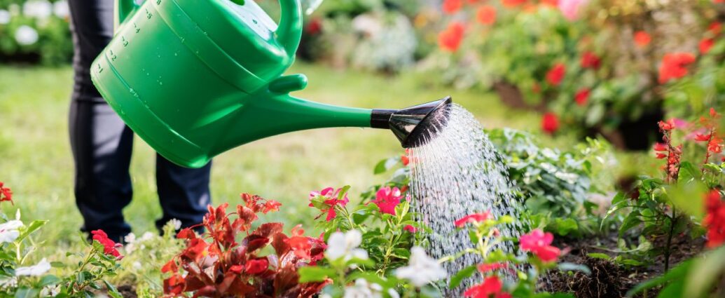 Podlewanie wodą po ziemniakach. Zielony trik z kuchni babci. Rośliny pokochają ten płyn