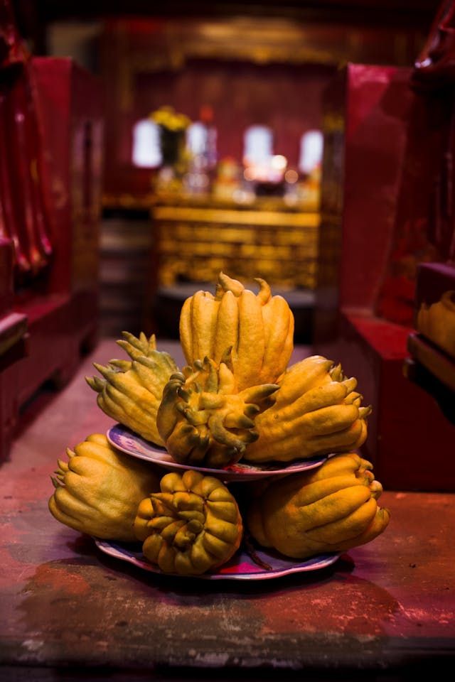 Owoce jak dłonie bóstwa. Cytron fascynuje wyglądem i historią