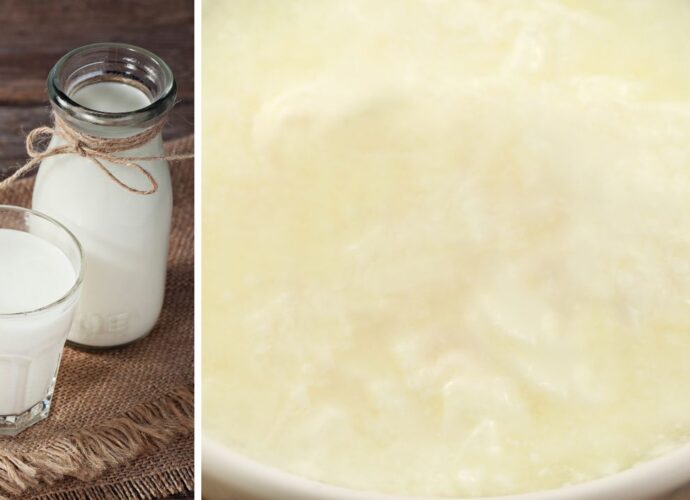 Jak wykorzystać zwarzone mleko?