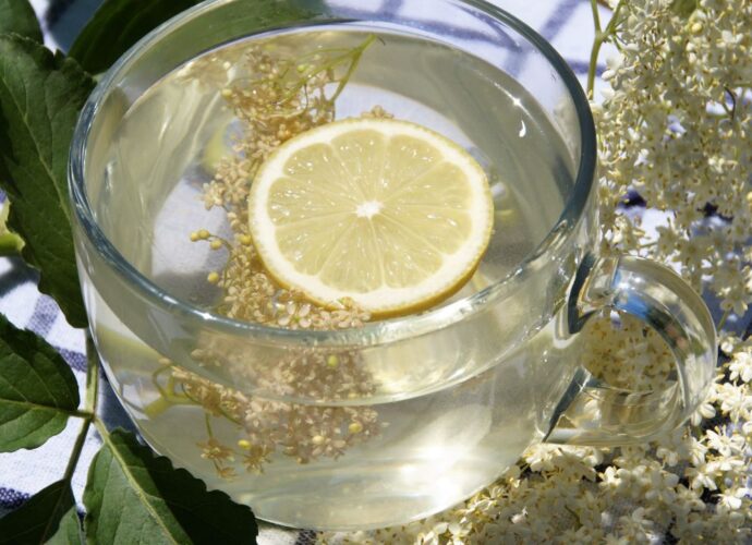 Lemoniada z dodatkiem kwiatów czarnego bzu
