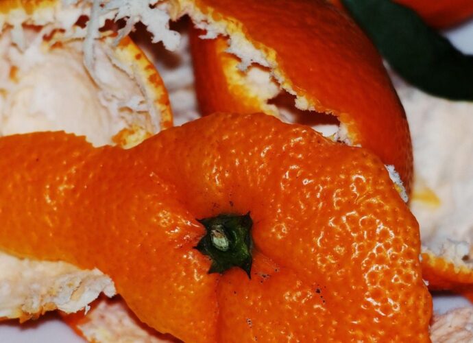 Skórka z pomarańczy ma wiele zastosowań w ogrodzie