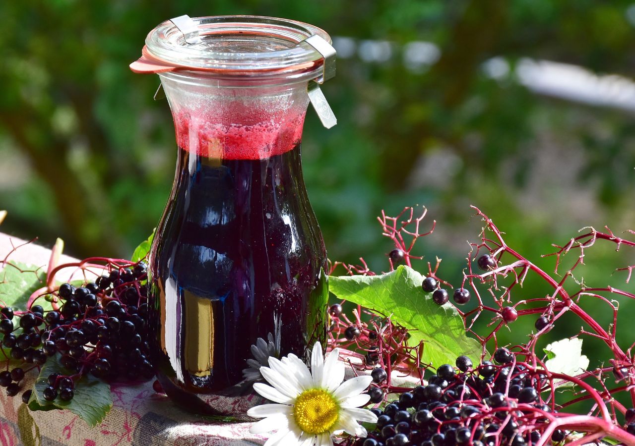 Sok z owoców czarnego bzu w szklanej butelce, obok świeże owoce