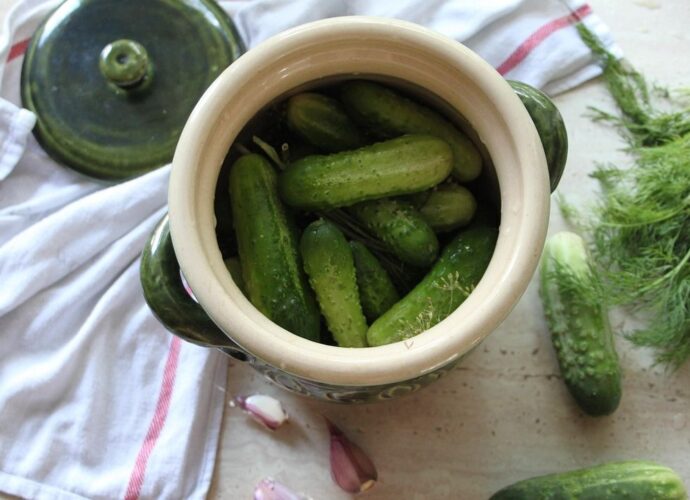 Ogórki małosolne w kamiennym garnku