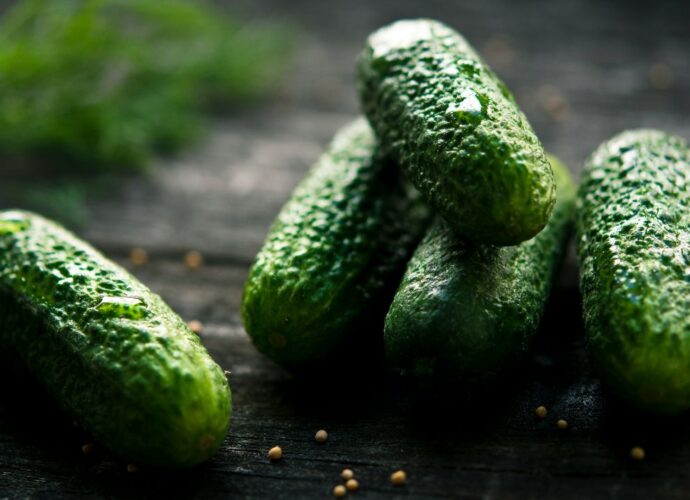 Ogórki gruntowe przygotowane do kiszenia