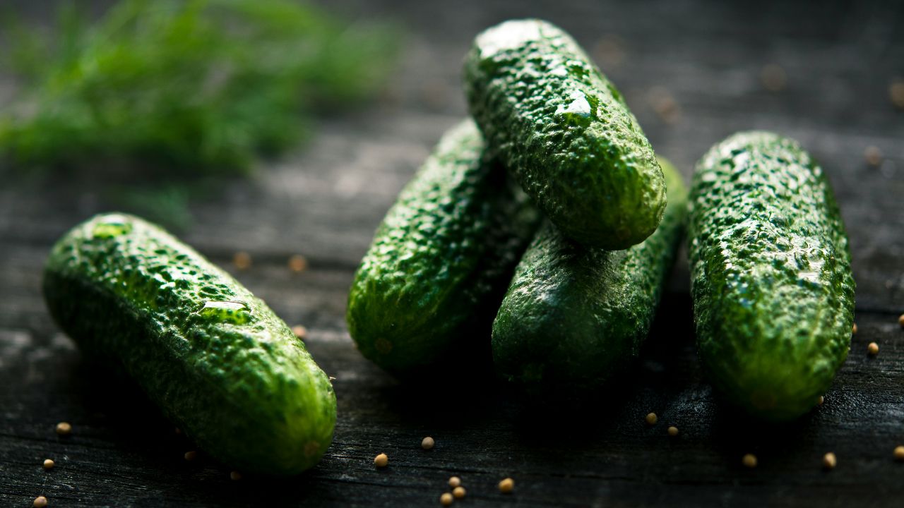 Ogórki gruntowe przygotowane do kiszenia