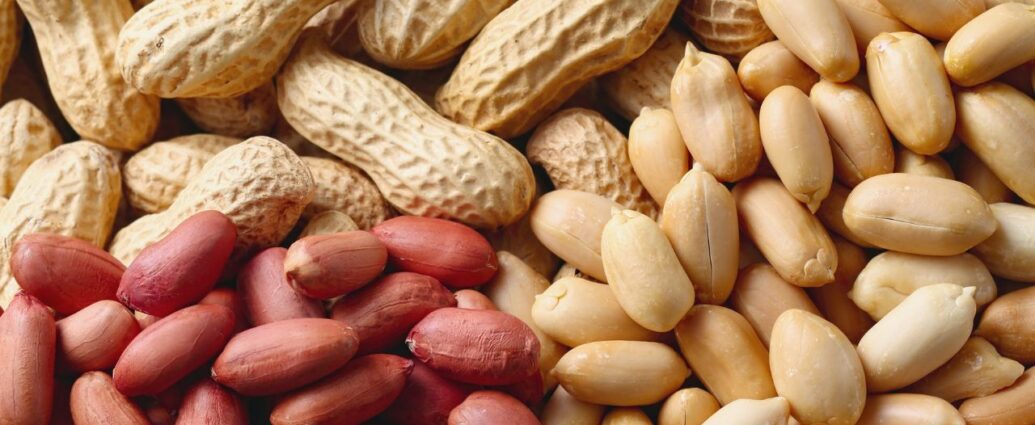 Orzeszki ziemne, fistaszki, orzechy arachidowe