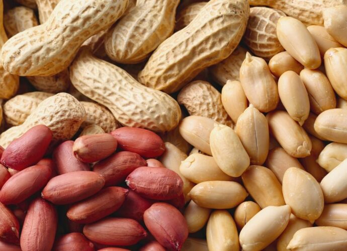 Orzeszki ziemne, fistaszki, orzechy arachidowe
