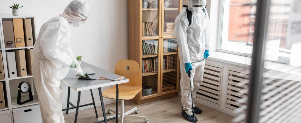 Usuwanie insektów z mieszkania przez specjalistów