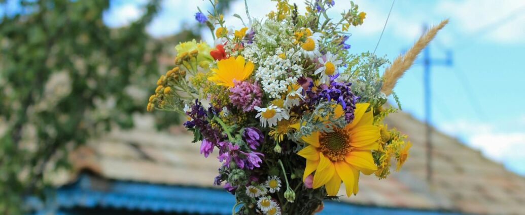 Bukiet z polnych kwiatów na Matki Boskiej Zielnej. Skąd wzięła się ta tradycja?
