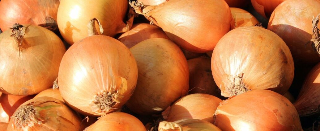 Główki żółtej cebuli w łupinach