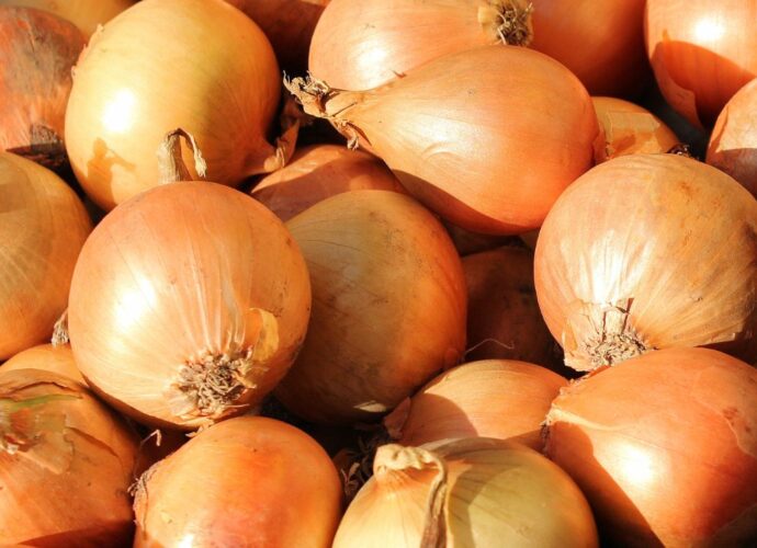 Główki żółtej cebuli w łupinach