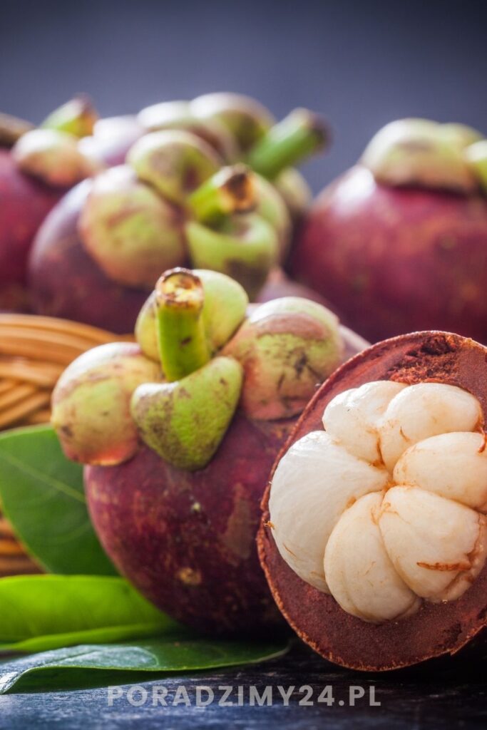 Mangostan - przekrojony owco 