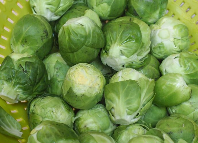 Główki brukselki na zielonym sitku