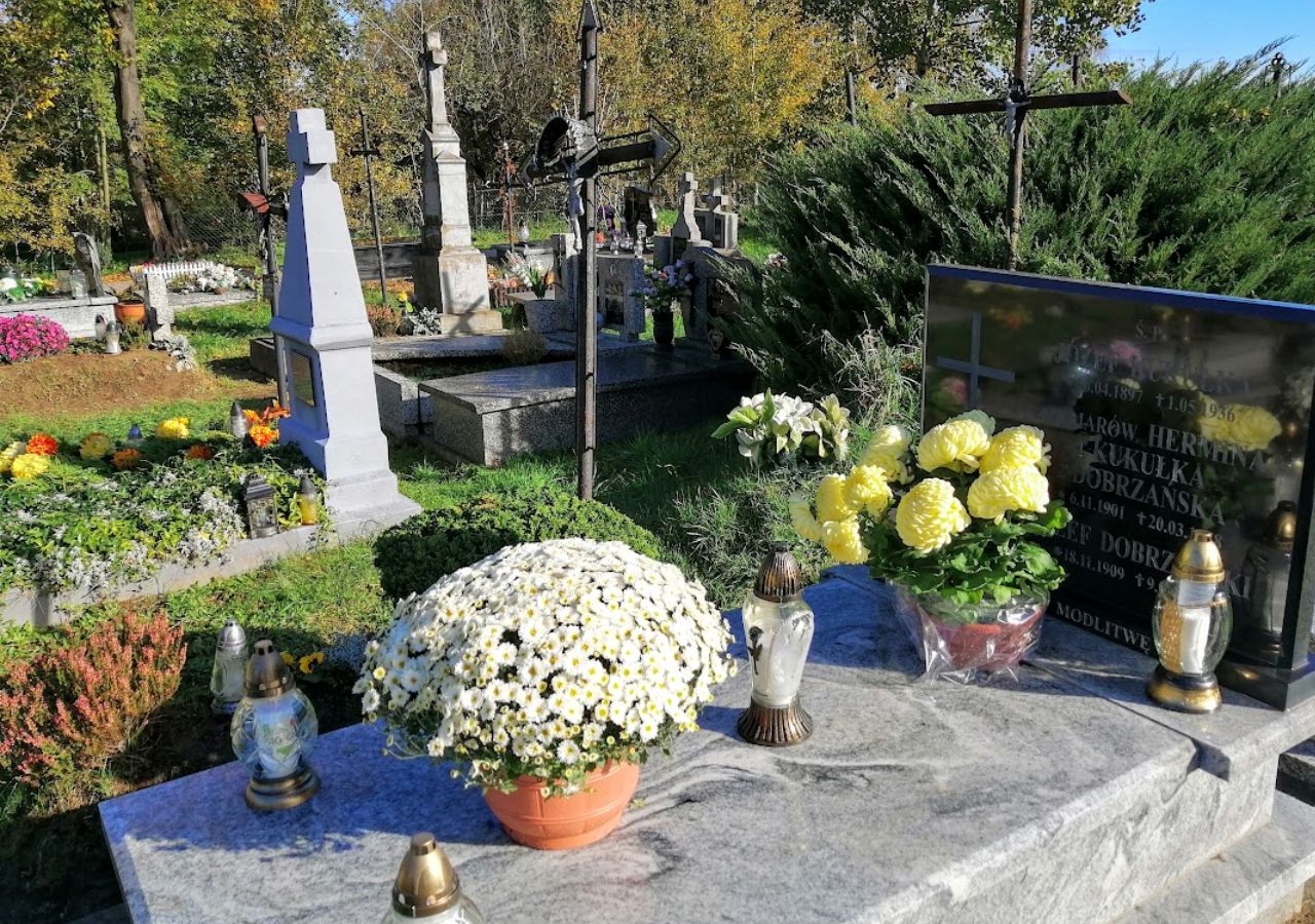 Chryzantemy jako dekoracja cmentarna prawdziwą popularność zyskały dopiero w drugiej połowie XX wieku