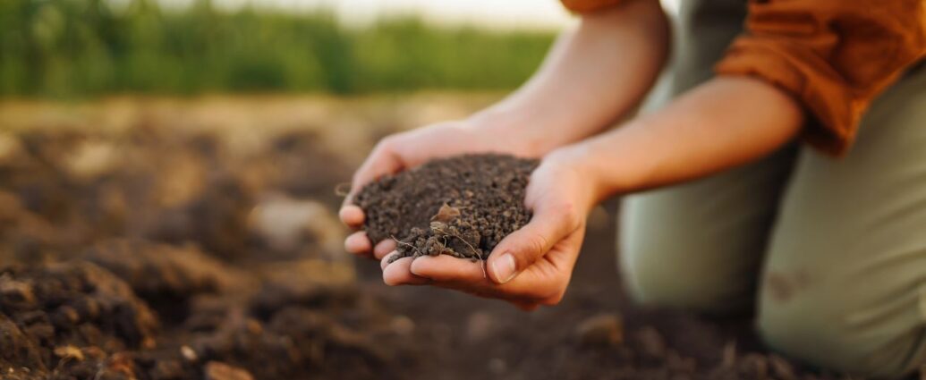 Kobieta trzyma w dłoniach garść kompostu