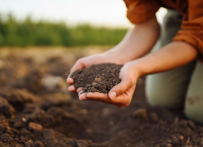 Kobieta trzyma w dłoniach garść kompostu