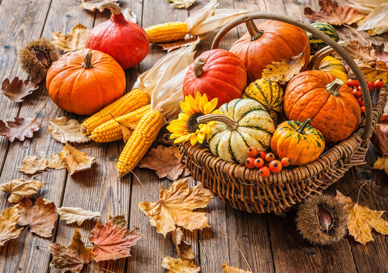 Koszyk z dyniami oraz kolby kukurydzy