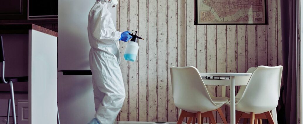 Profesjonalna dezynskecja w Warszawie