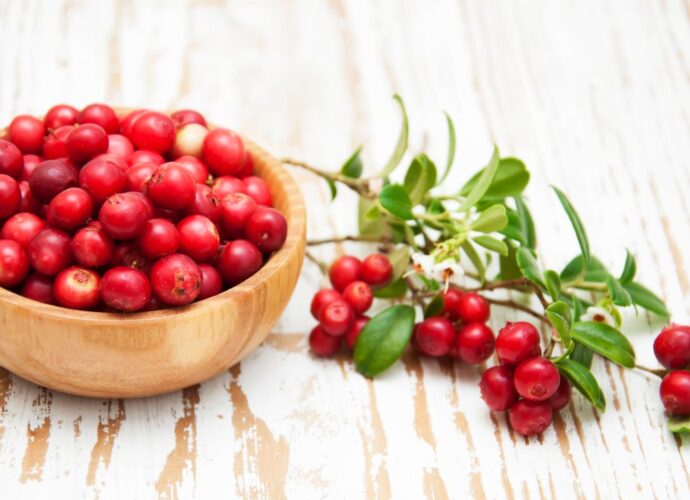 Świeże owoce żurawiny w drewnianej miseczce i gałązka z owocami